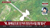 북, 동해상 탄도미사일 3발 발사…군 