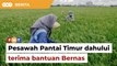 Pesawah Pantai Timur terima bantuan khas Bernas dahulu