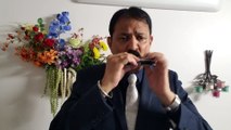 Ban ke panchi gaye pyar ka tarana-Film Anari 1959-Vintage Classic Song on Harmonica Live Performance by Mukund Kamdar