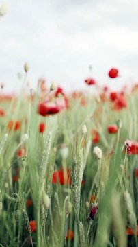 Motivational quotes || Motivational Shorts || Motivational Thought || Motivational Speech|| #shorts