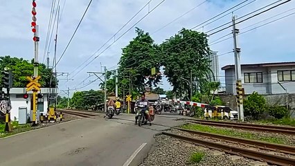 Truk dan Kendaraan Seru yang Mirip Teman-Teman Tayo 🚚
