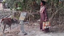দঃদিনাজপুরঃ বিকল সরকারী নলকূপ,পানীয় জলের সমস্যায় আস্ত গ্রাম!