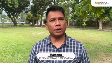 Seekor Rusa Sambar Muncul di Perkebunan Warga di Desa Kepenuhan, Kabupaten Rokan Hulu