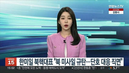 下载视频: 한미일 북핵대표 