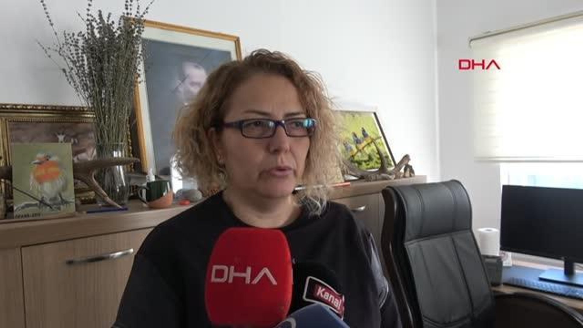 YARALI YABAN HAYVANLARINA ŞEFKAT ELİ