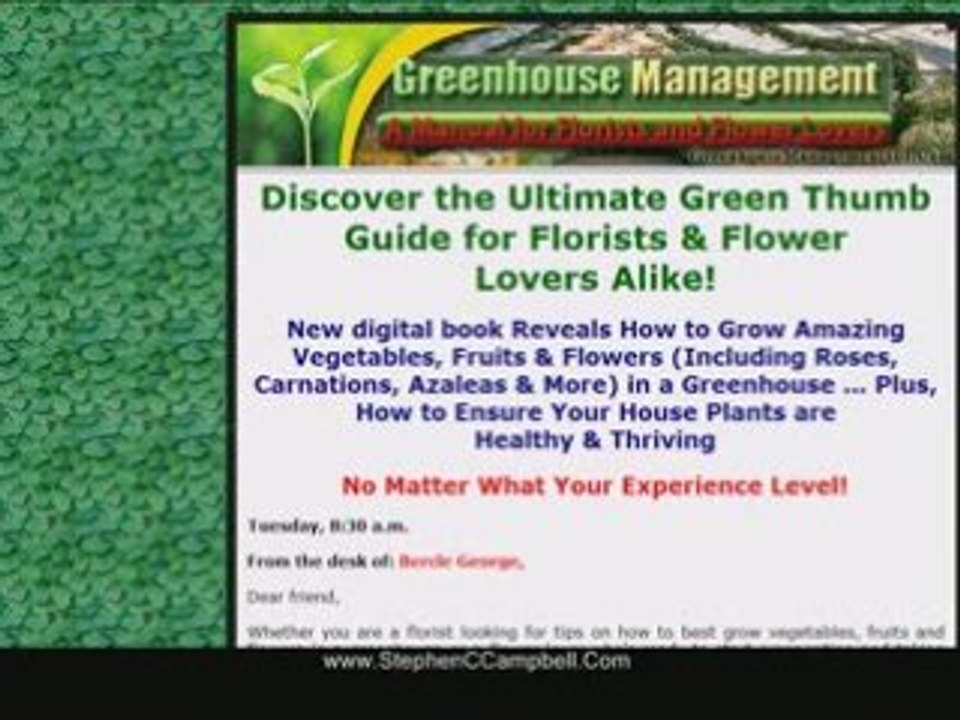 Internet Marketing Consultant