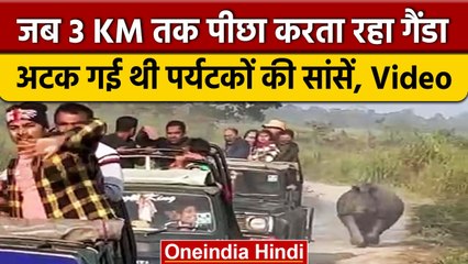 Assam के  Manas National Park में Tourist Car का पीछा करते दिखा Rhino | वनइंडिया हिंदी | #Shorts