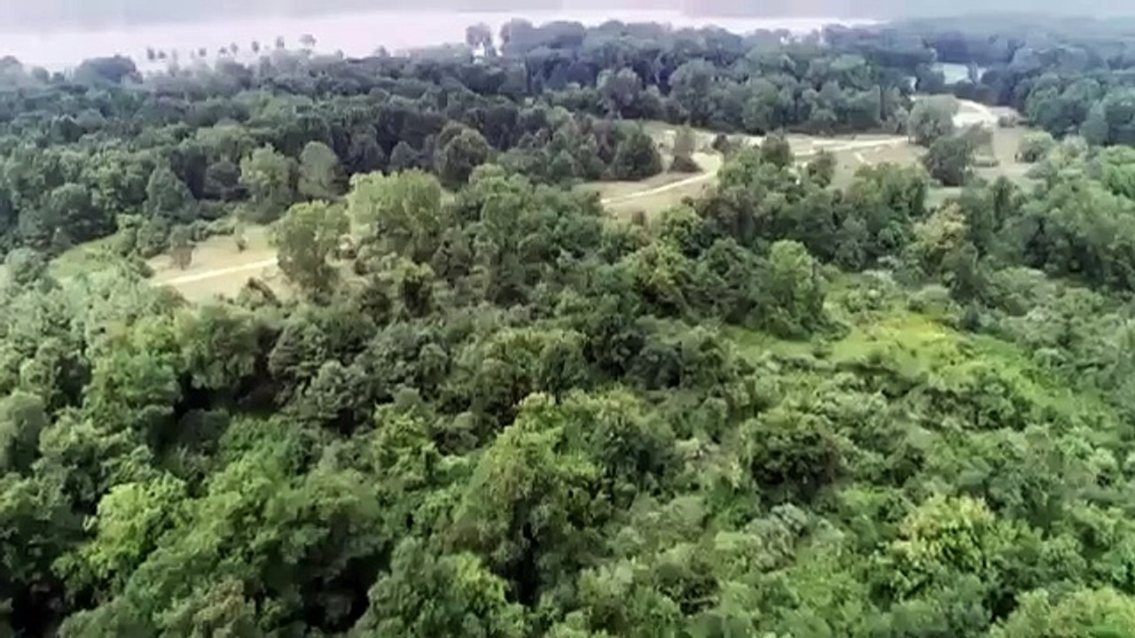 Betrayed (2016) - Se3 - Ep08 - Beware the Au Pair HD Watch