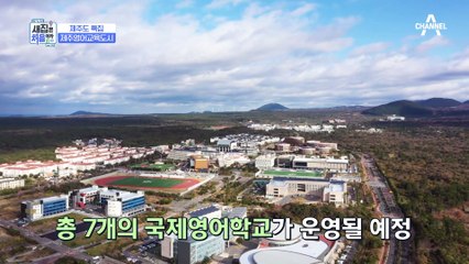 브라보! 제주 영어 교육 도시 10분 내 접근 가능한 '숲세권' 타운하우스☆