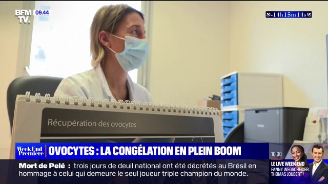 Des plus en plus de femmes ont recours à la congélation des ovocytes