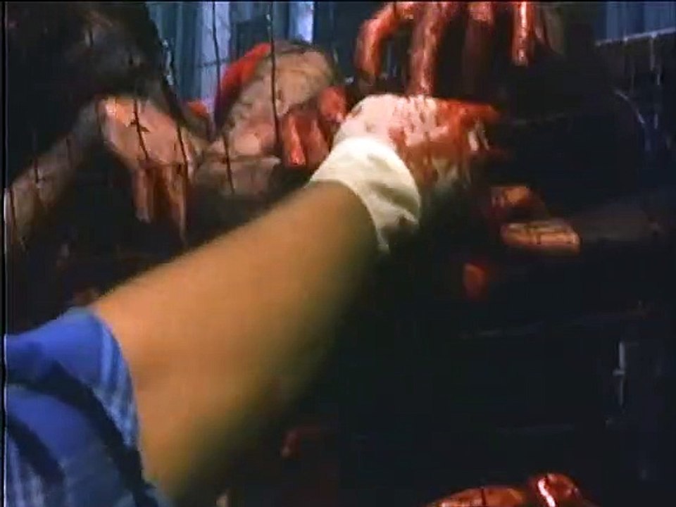THE DEAD NEXT DOOR (1989) Filme Deustche HD