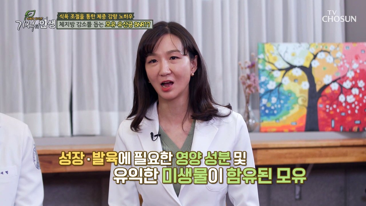 체지방 감소와 식욕 조절을 도와주는 ‘모유 유산균 BNR17’ TV CHOSUN 20...