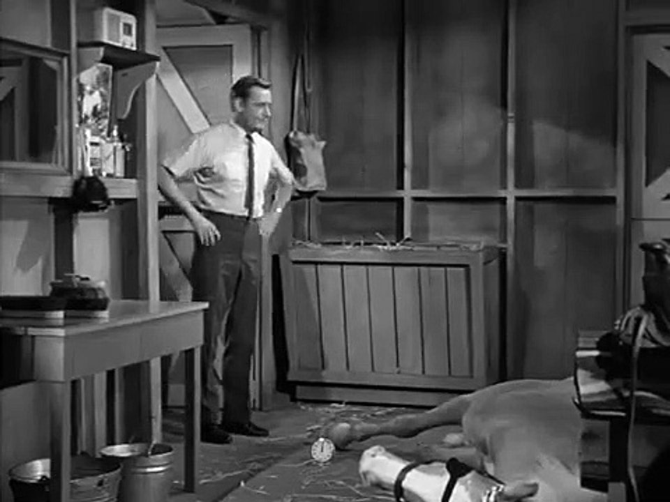 Mister Ed - Se5 - Ep05 HD Watch