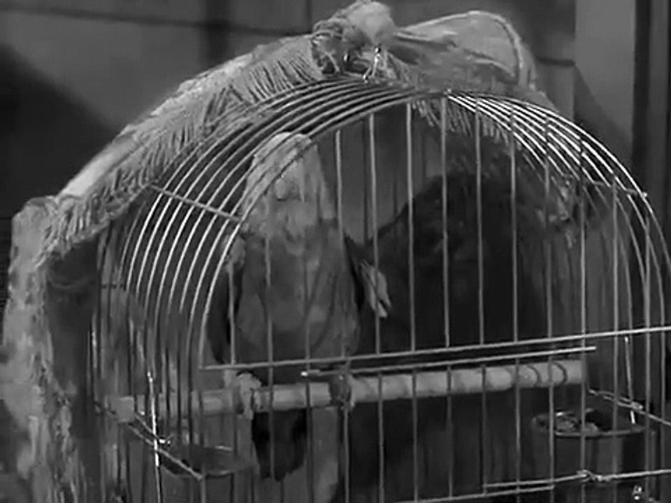 Mister Ed - Se5 - Ep07 HD Watch