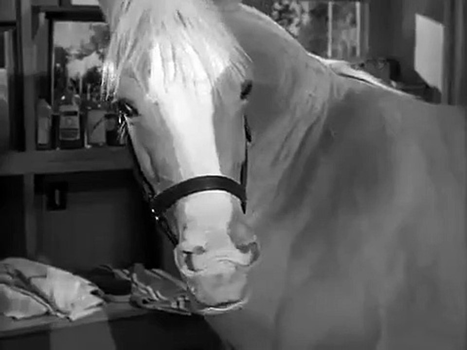 Mister Ed - Se5 - Ep09 HD Watch