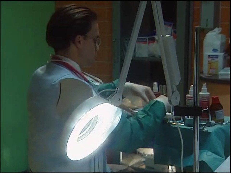 Alphateam - Die Lebensretter im OP Staffel 4 Folge 13