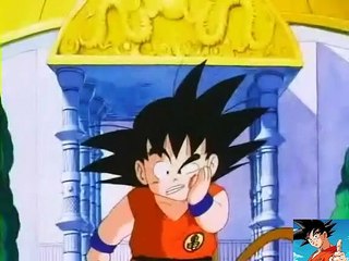 dragon ball goku vs goku