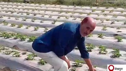 शेखपुरा: नववर्ष 2023 में जनता को सरकार से नई उम्मीदें, जानिये लोगों की राय