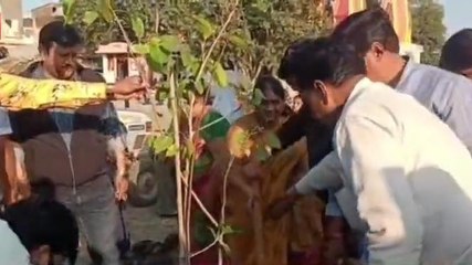 देवास: पौधारोपण अभियान का हुआ आयोजन, निगम के हर वार्ड लगाए गए पौधे
