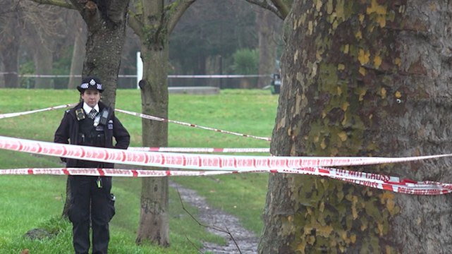 Police launch investigation after man stabbed to death in south London park
