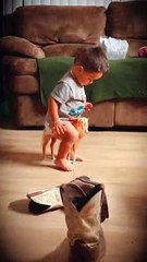 Toddler Tries His Best to Ride Small Horse Toy