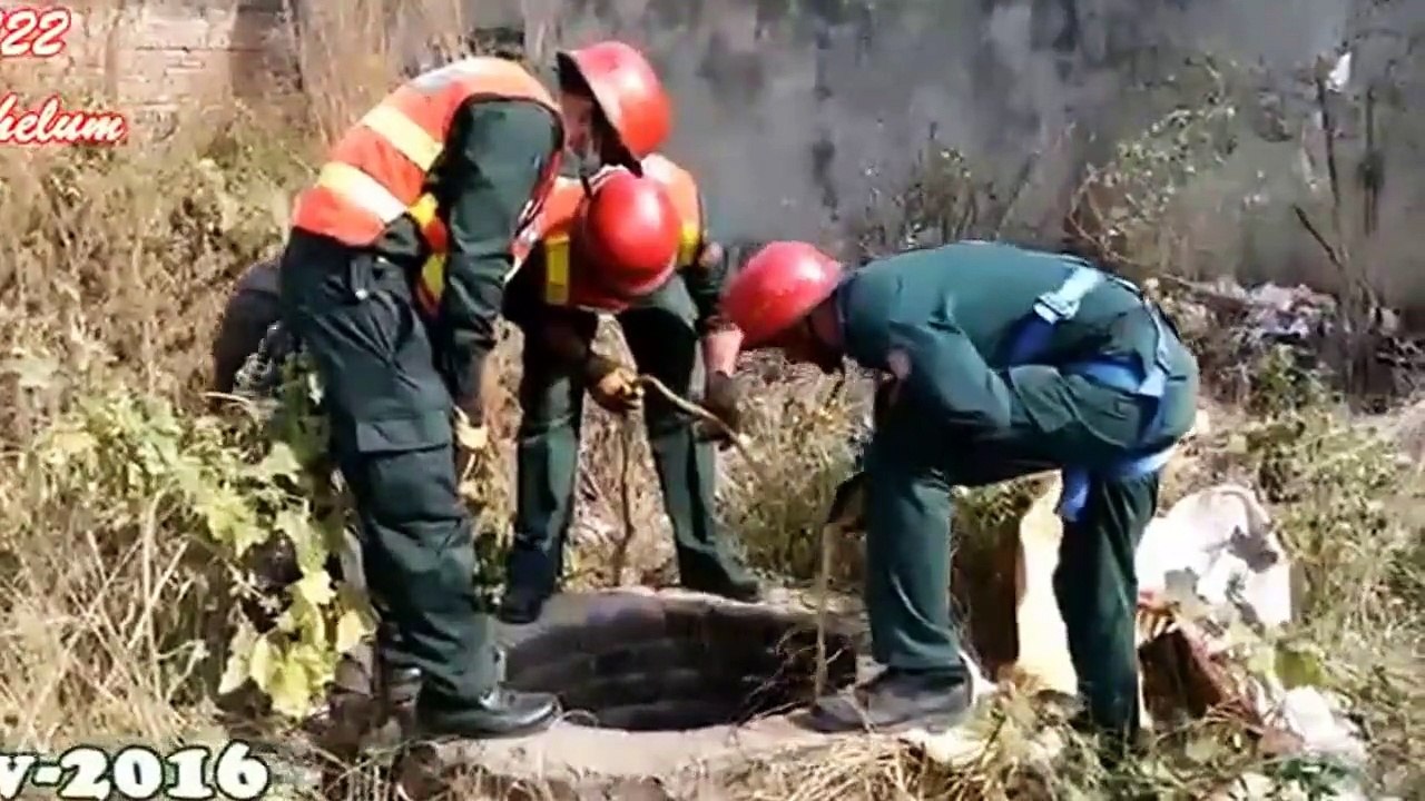 Great People Saving Animals Lives #5