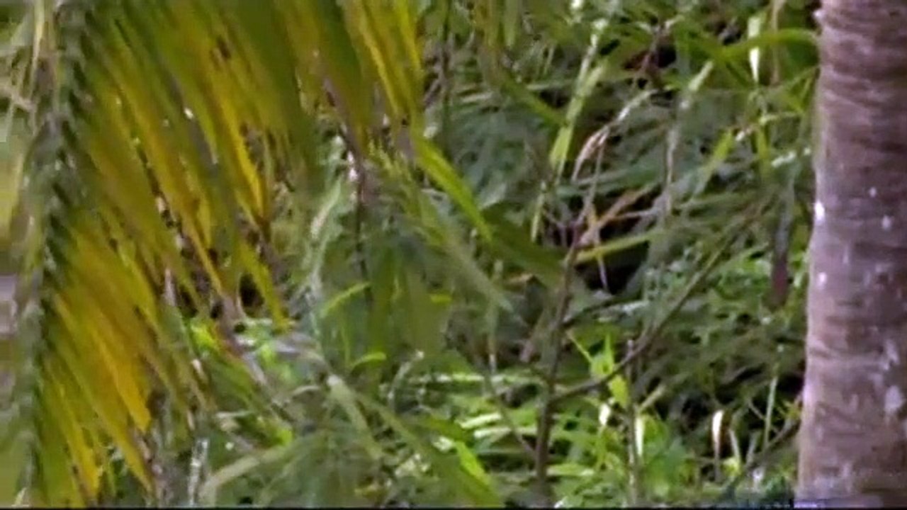 Air Crash Investigation - Se4 - Ep04 HD Watch