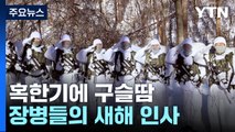 혹한기에 구슬땀 흘리는 軍...파병 장병도 새해 인사 / YTN