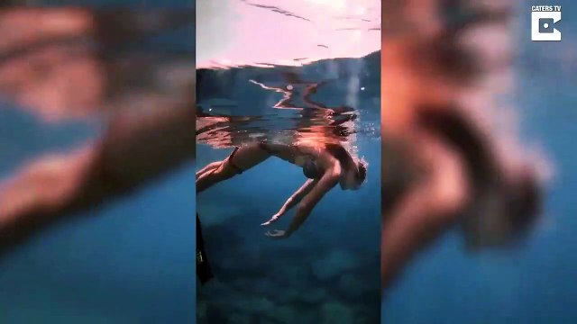 Un poulpe un peu collant... mais adorable