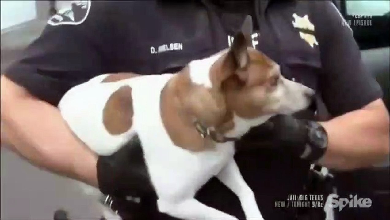 Un policier laisse un prisonnier faire ses adieux à son chien avant de partir en prison