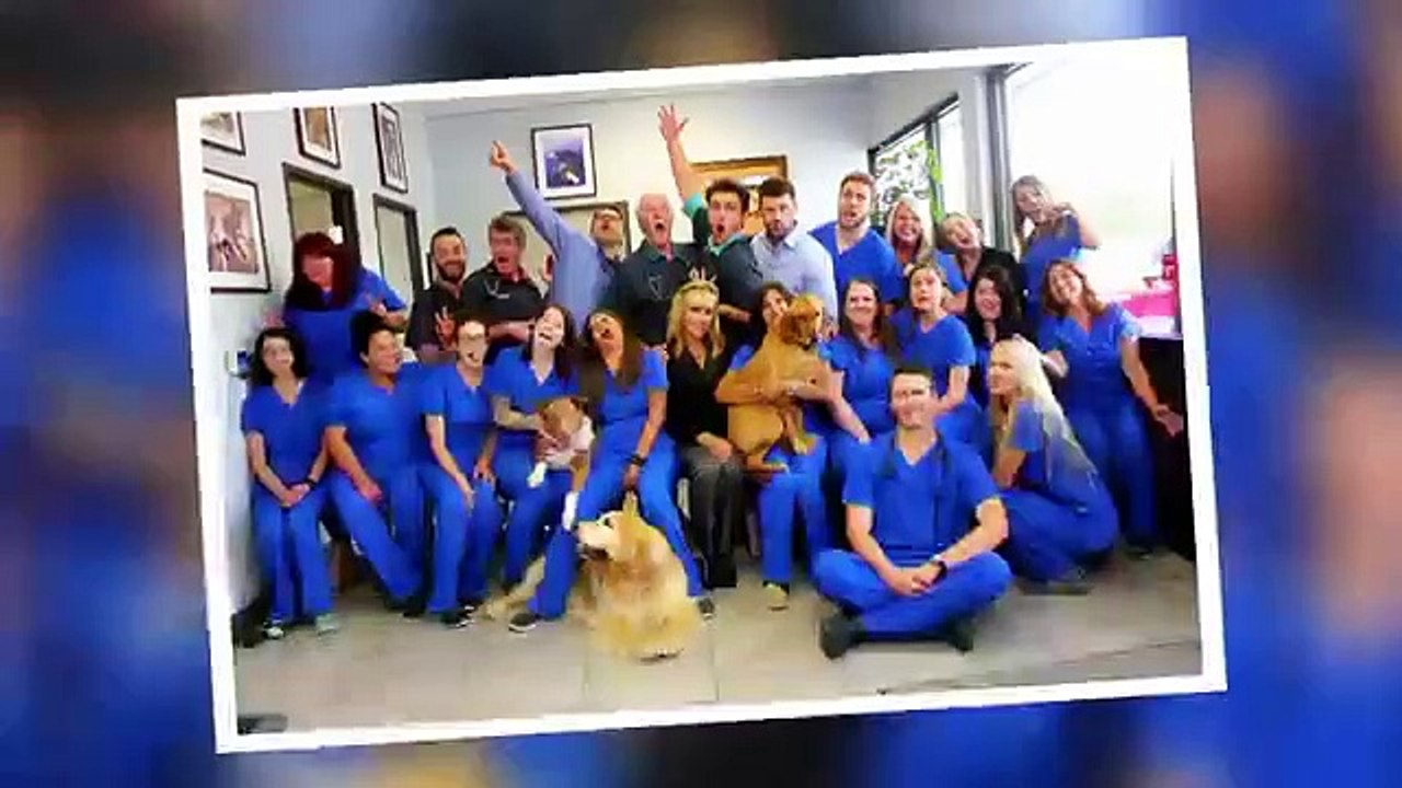 Hanging with the Hendersons - Se1 - Ep04 HD Watch