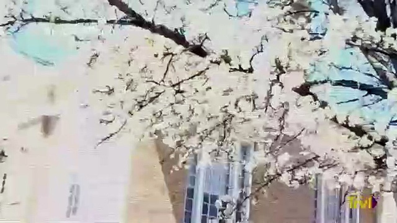 Haunted Case Files - Se2 - Ep03 - History's Revenge HD Watch