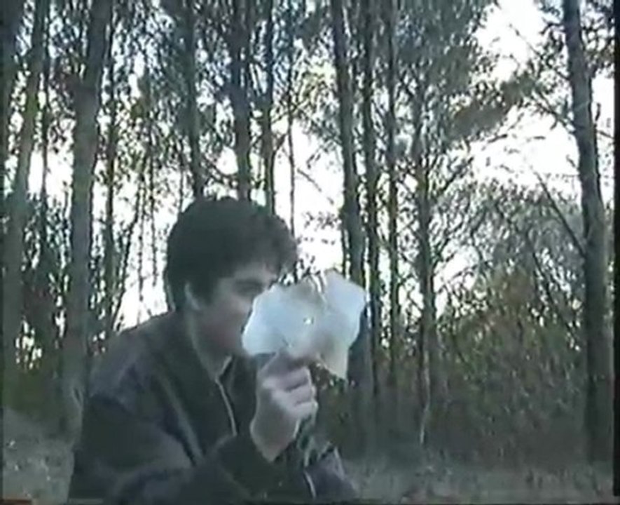 A LA RECHERCHE MAGIQUE DU THYM PERDU part 3
