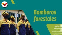 Punto Verde | Cuerpo de Bomberos Forestales activos para la prevención y combate de incendios