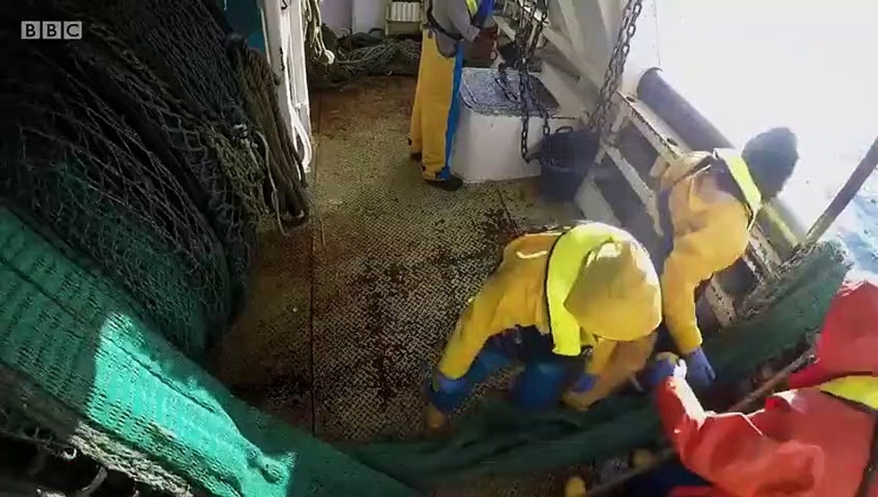 Fish Town - Se1 - Ep02 HD Watch