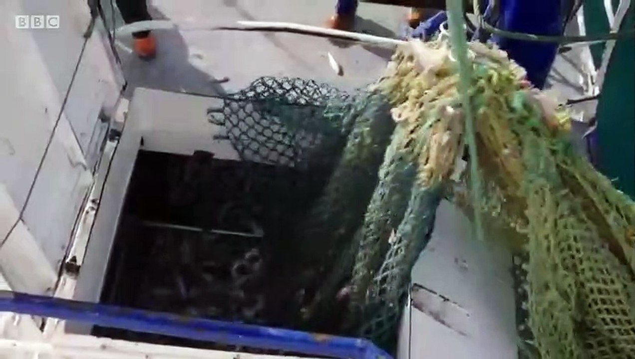 Fish Town - Se1 - Ep01 HD Watch