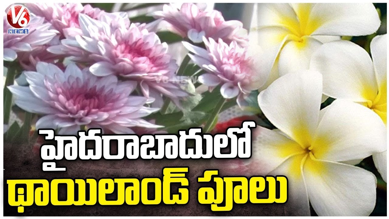 Special Story On Flower Bouquet Shop Maker | Hyderabad | V6 News