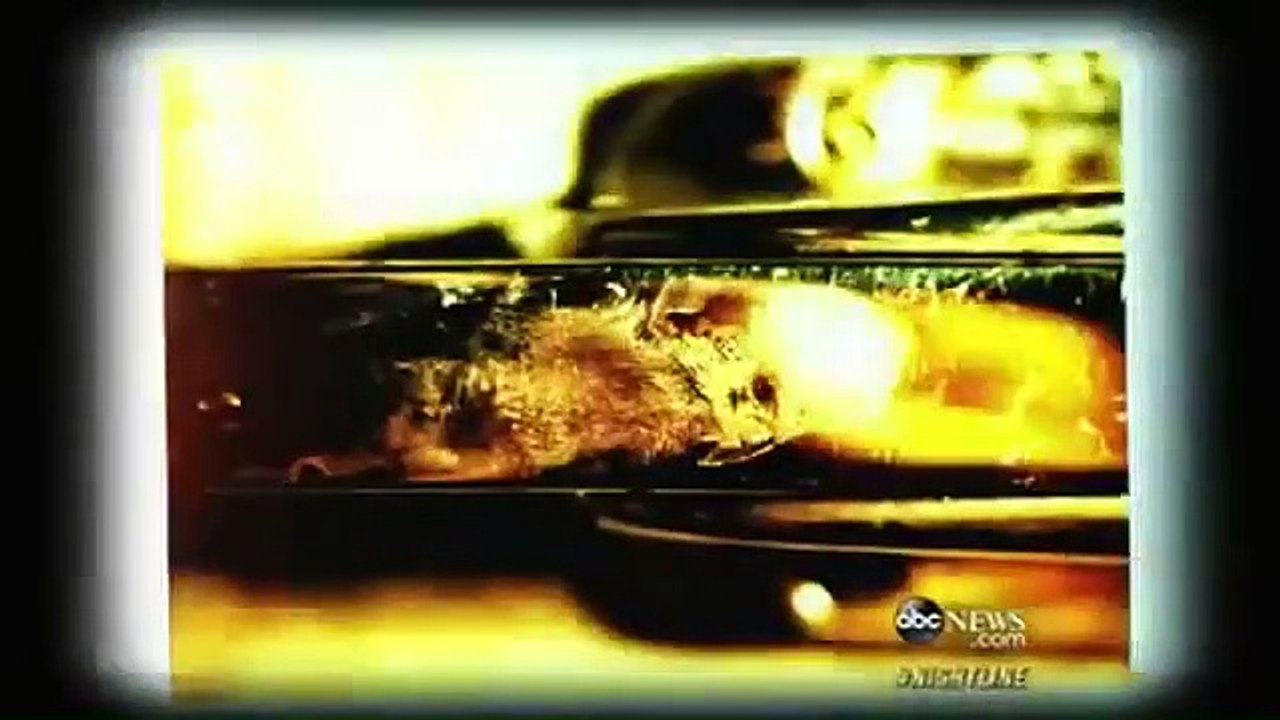 ABC News Nightline - Se1 - Ep84 HD Watch