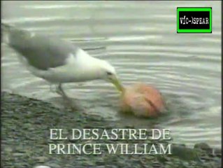 El Tercer Planeta - El Desastre del principe William - Documental (1998) Español