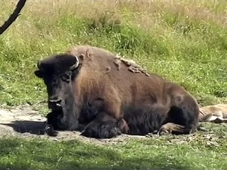 New Zealand - Viaggio e Arrivo a Queenstown 26 Gennaio 2007 [Day 13]