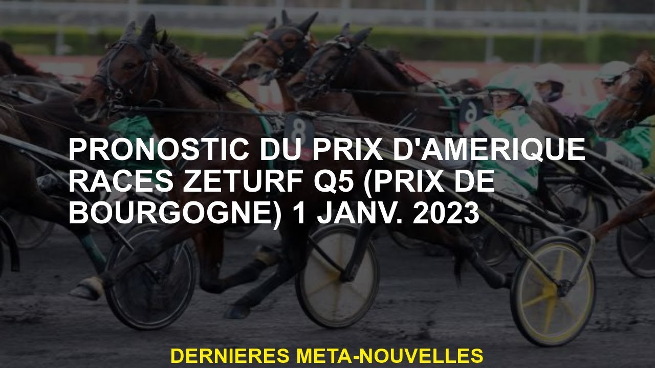 PROGNOSE POUR L'AMÉRIQUE PRIX RACES ZEURF Q5  Jan 2023
