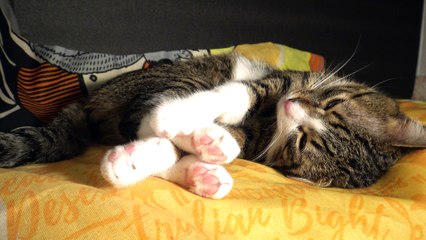 I'll Wake up Next Year, in 2023