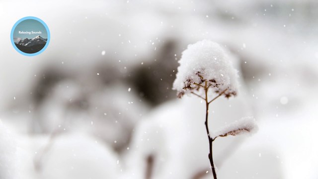 Relaxing Music for Sleep, Meditation, De-stressing and Calmness | Soft Piano for Sleep