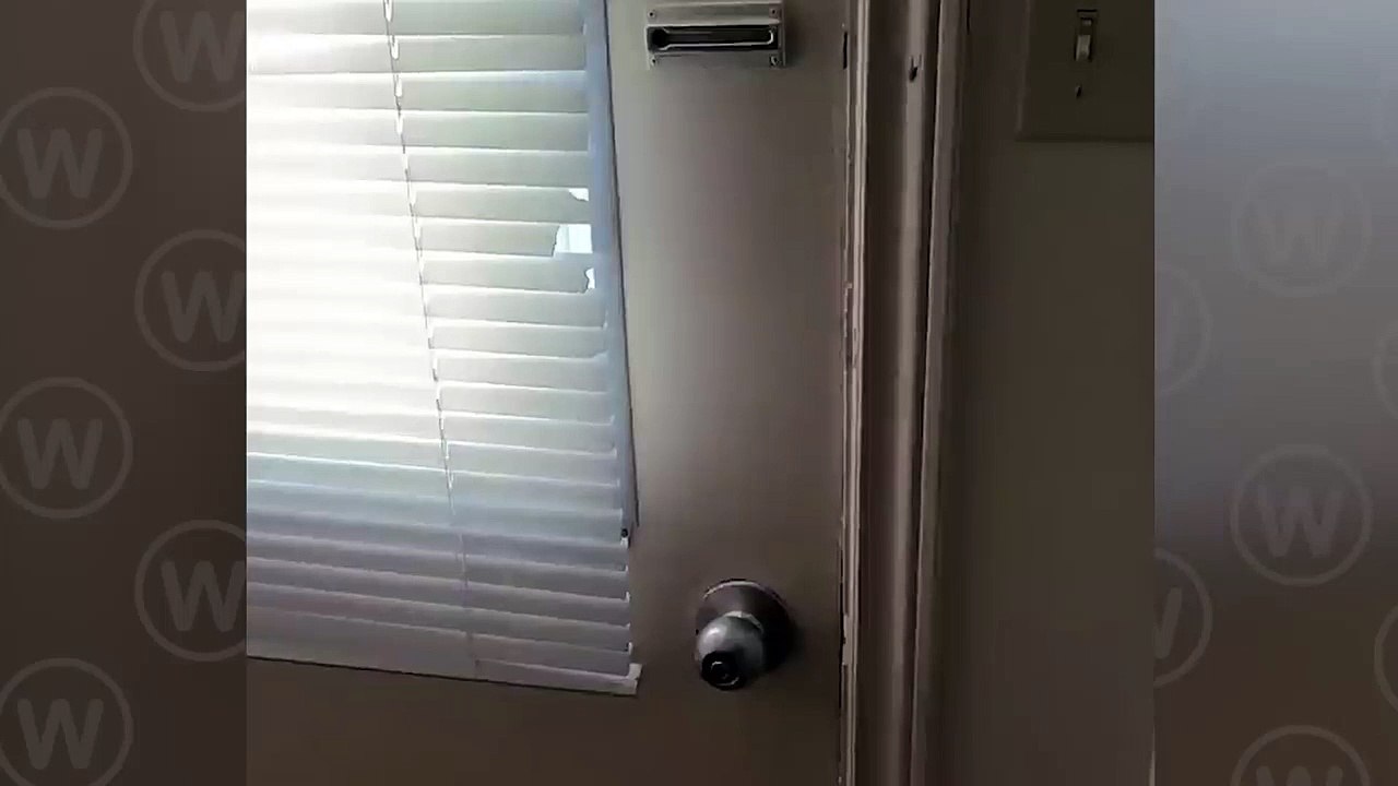 Snow trap in Canada! Ontario was pounded hard by a snowstorm with 70 km/h winds.