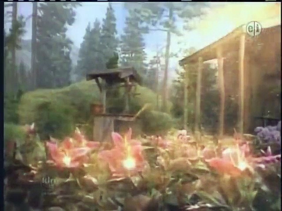 Wishbone - Se1 - Ep40 HD Watch