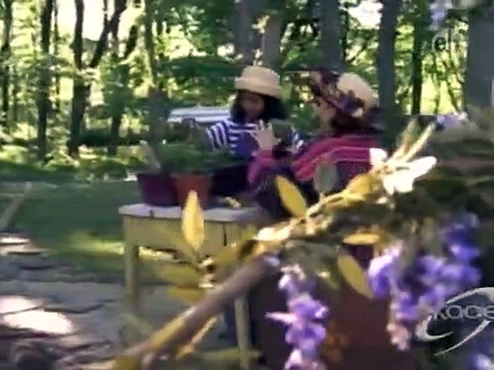 Wishbone - Se2 - Ep06 HD Watch