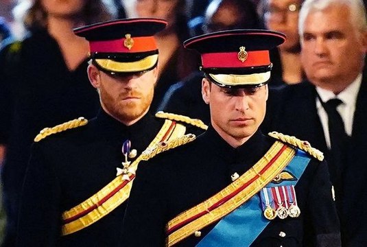 Prince Harry, frappé et jeté au sol par son frère, le prince William… Blessures visibles et violences au sein de la famille royale