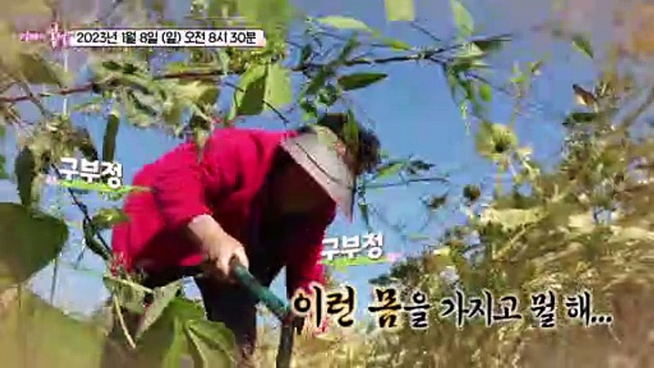 건강을 향한 발걸음 100일의 여정_엄마의 봄날 382회 예고 TV CHOSUN 23...