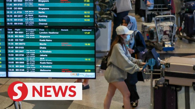 Domestic airlines to increase 291 flights from Jan 18-31 for CNY