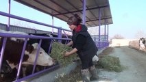 Üniversite mezunu kadın girişimci devlet desteğiyle çiftlik kurdu